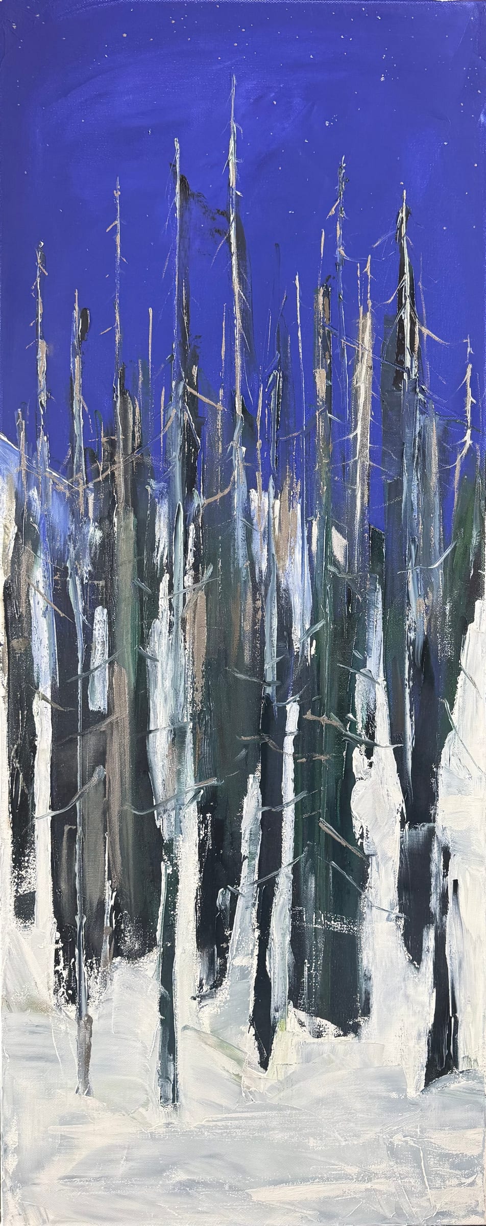 Winter Moonlight, Oil on canvas by Agnieszka Pyszczak